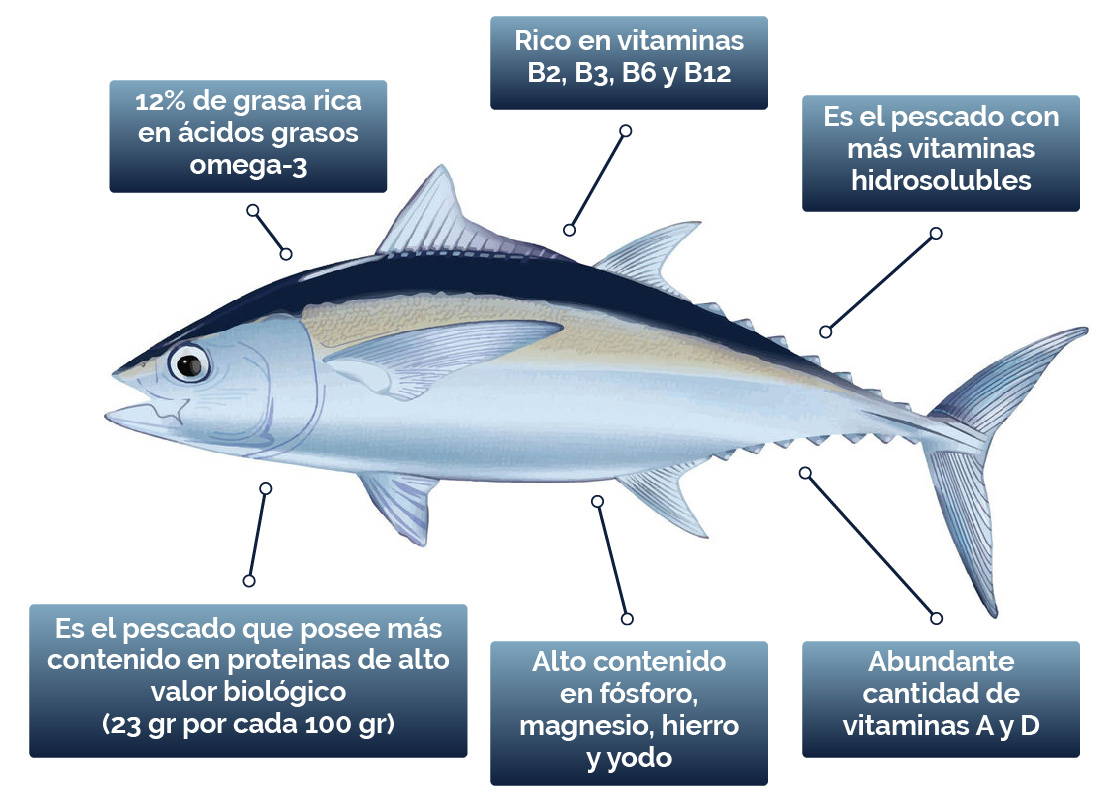 Propiedades nutritivas del atún